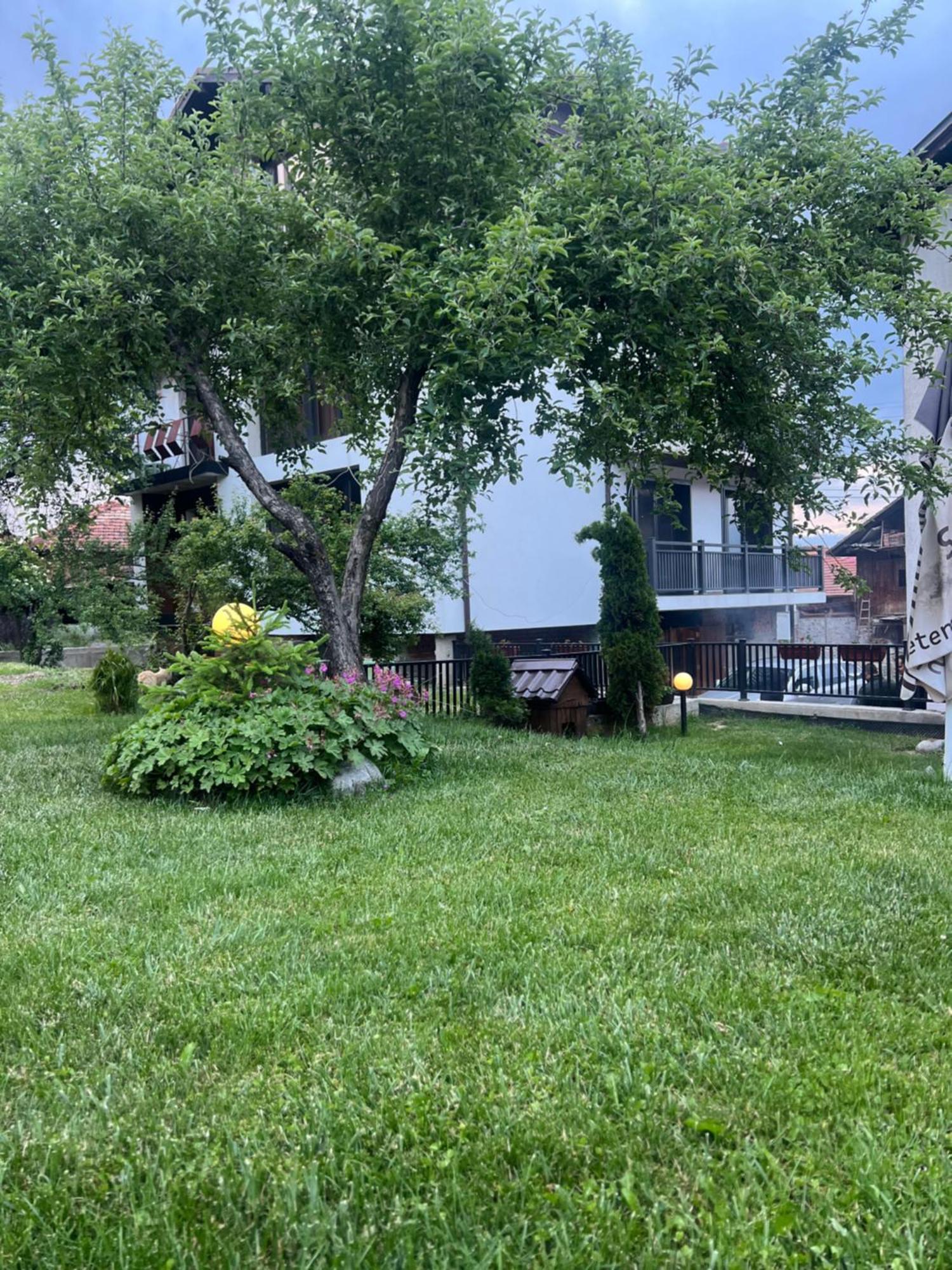 Guest House Raffe Dobrinishte Exterior photo